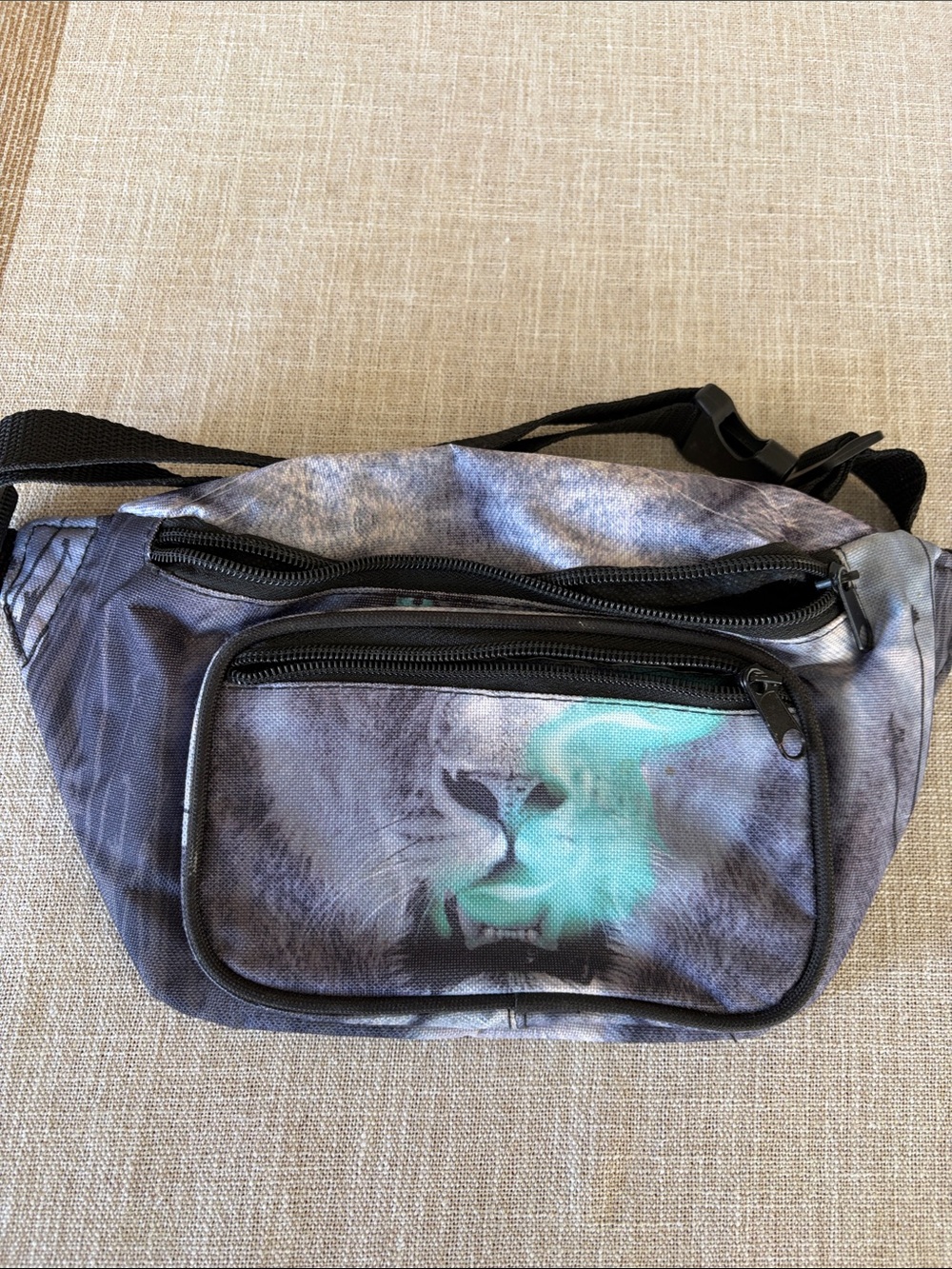 Fanny pack